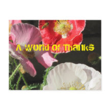 Abeja En La Tarjeta De Correo De Los Poppies