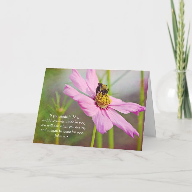 Abeja en la tarjeta de guiones de cosmos rosados J (Anverso)