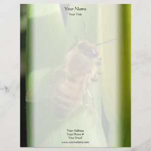 Abeja en papel con membrete de la flor blanca