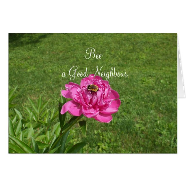 Abeja en un día de vecino que tenga flores rojas (Anverso (Horizontal))