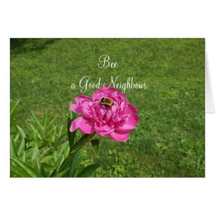 Abeja en un Flor-Buen día vecino rojo