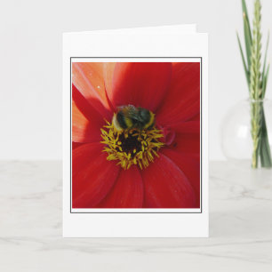 Abeja en una tarjeta de saludo de flores rojas