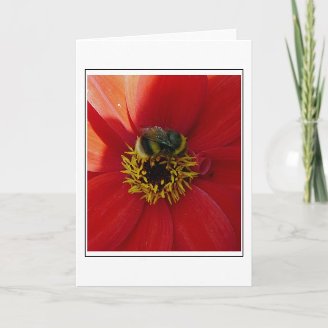 Abeja en una tarjeta de saludo de flores rojas (Anverso)