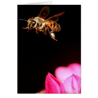 Abeja en vuelo