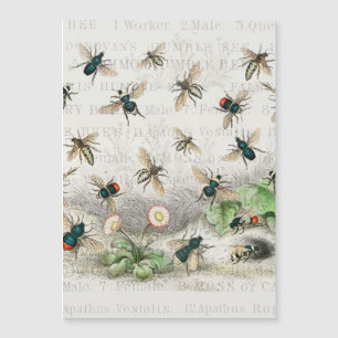 Abeja Miel Trabajador Reina Abejas Antigüo