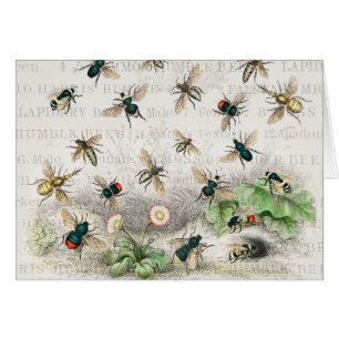 Abeja Miel Trabajador Reina Abejas Antigüo