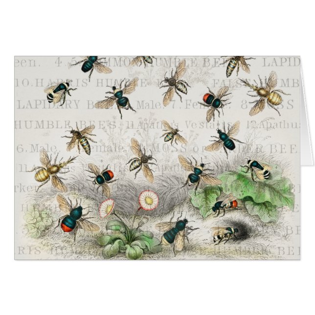 Abeja Miel Trabajador Reina Abejas Antigüo (Anverso (Horizontal))