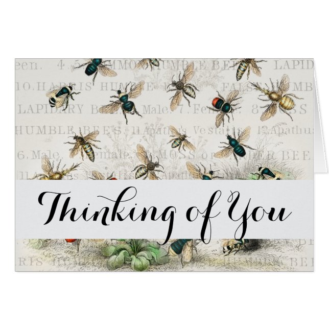 Abeja Miel Trabajador Reina Abejas Antigüo (Anverso (Horizontal))