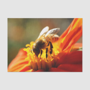 Abeja nativa en un papel seda anaranjado de la