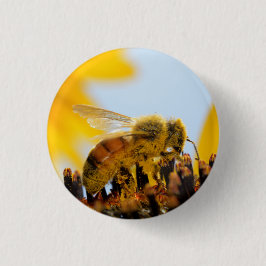 Abeja Polen-Revestida de la miel en un botón del