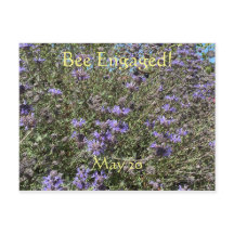 Abeja: postal del Día Mundial de la Abeja