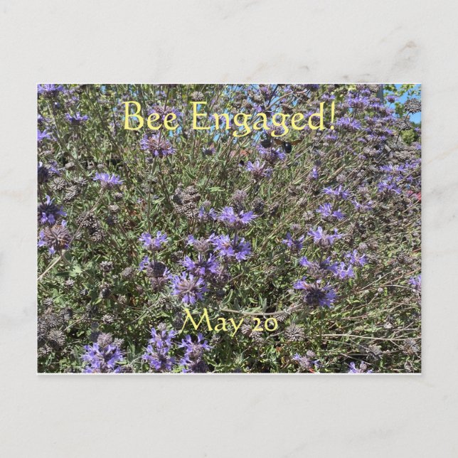 Abeja: postal del Día Mundial de la Abeja (Anverso)