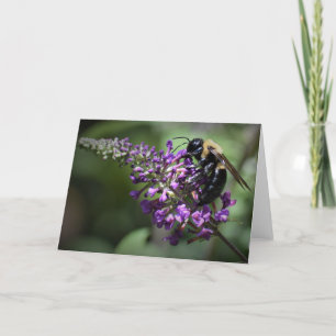 Abeja, tarjeta