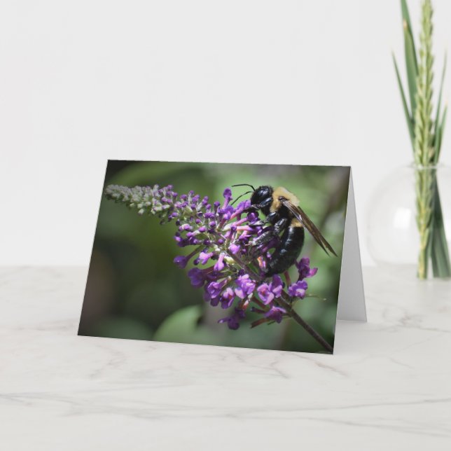 Abeja, tarjeta (Anverso)