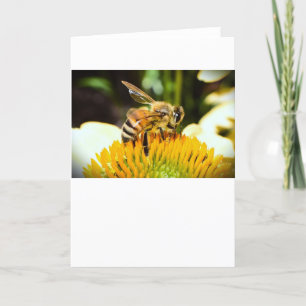 Abeja, tarjeta