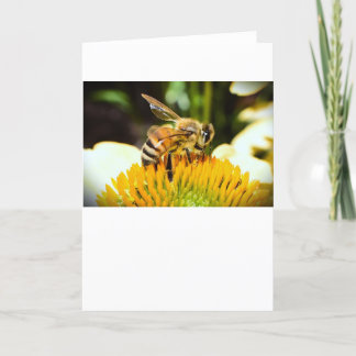 Abeja, tarjeta