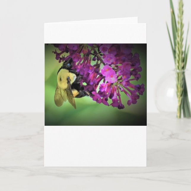 Abeja, tarjeta (Anverso)