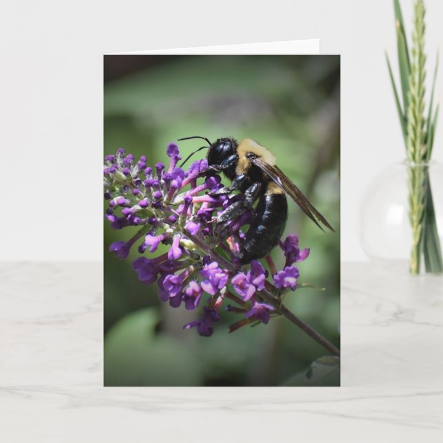 Abeja, tarjeta (Anverso)
