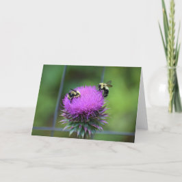 Abeja, tarjeta