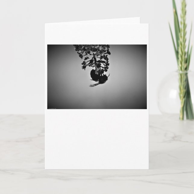 Abeja, tarjeta (Anverso)