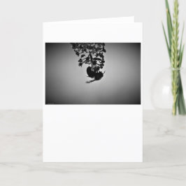 Abeja, tarjeta