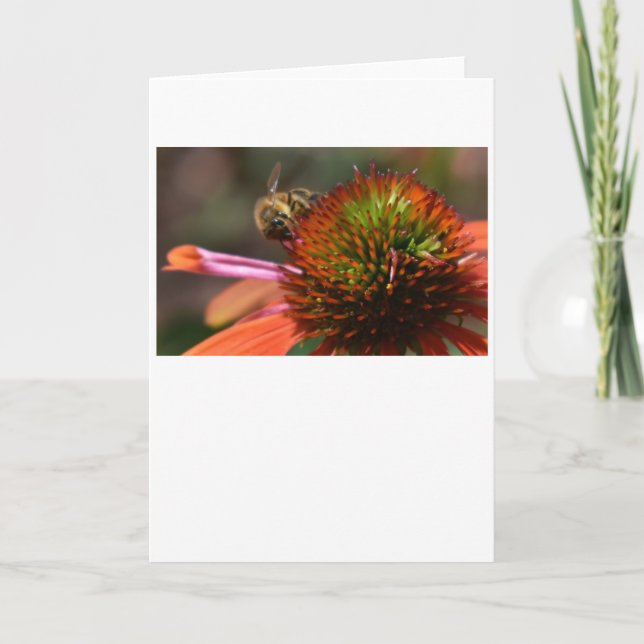 Abeja, tarjeta (Anverso)