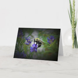 Abeja, tarjeta