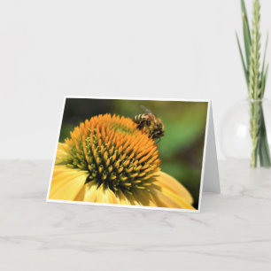 Abeja, tarjeta