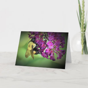 Abeja, tarjeta