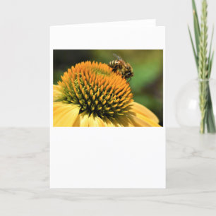 Abeja, tarjeta