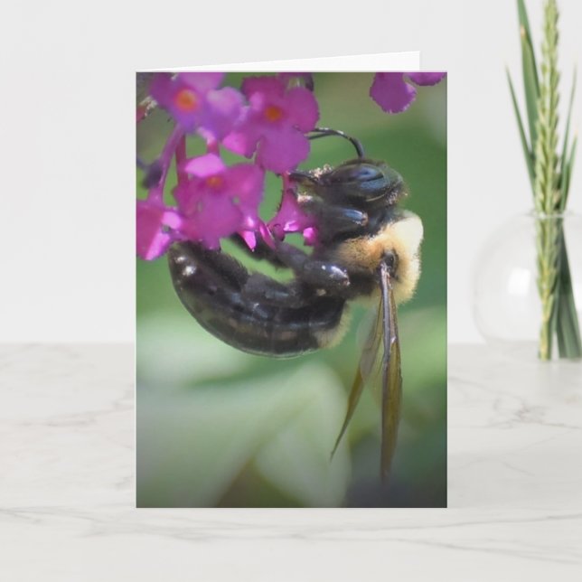 Abeja, tarjeta (Anverso)