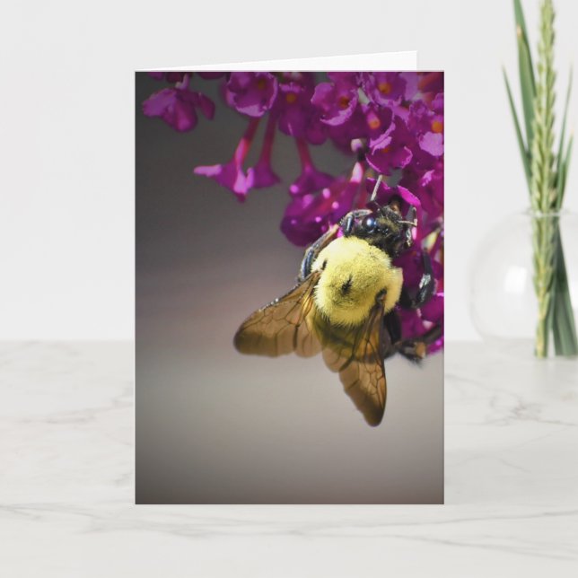 Abeja, tarjeta (Anverso)