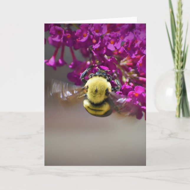 Abeja, tarjeta (Anverso)