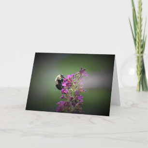 Abeja, tarjeta