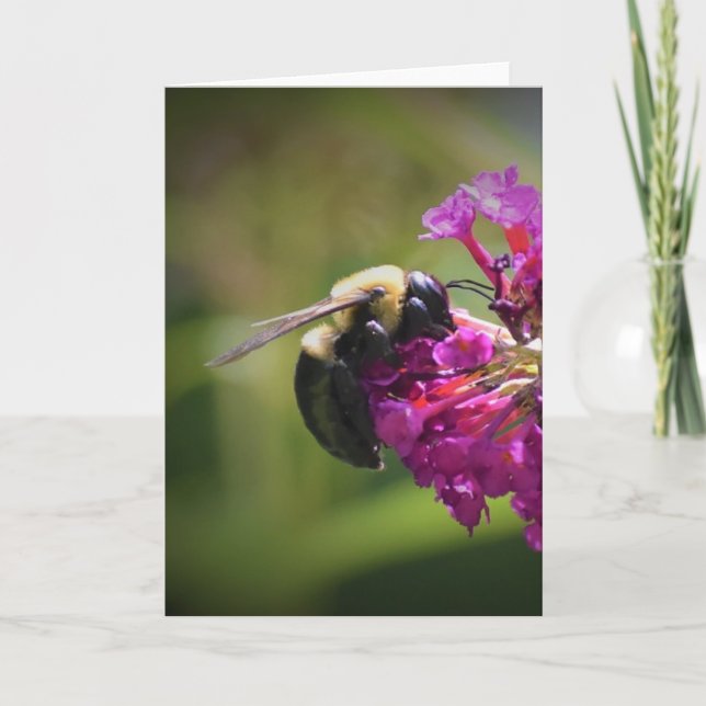 Abeja, tarjeta (Anverso)