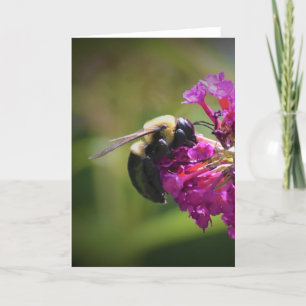 Abeja, tarjeta