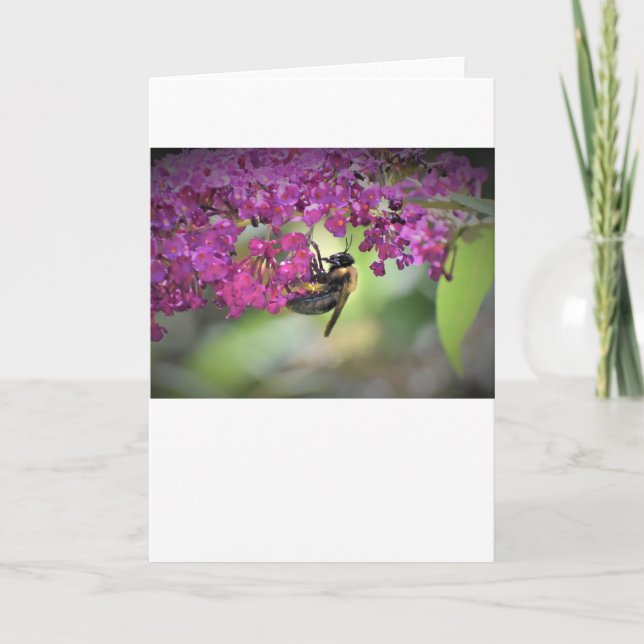 Abeja, tarjeta (Anverso)