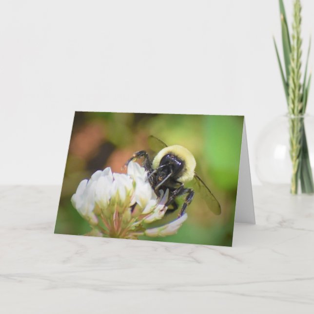 Abeja, tarjeta (Anverso)