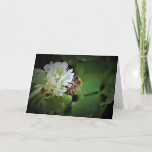 Abeja, tarjeta