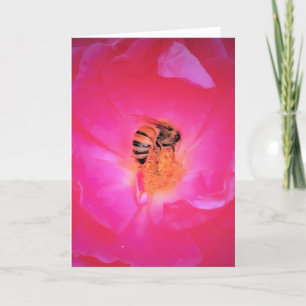 Abeja, tarjeta