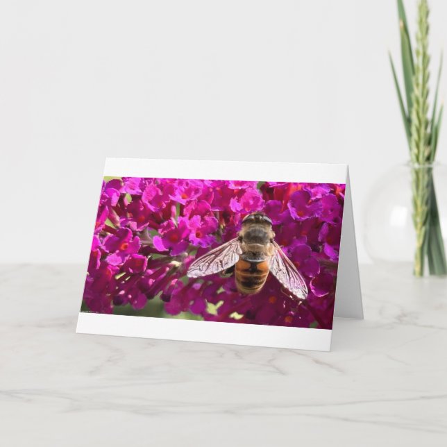 Abeja, tarjeta (Anverso)