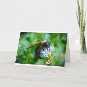 Abeja, tarjeta