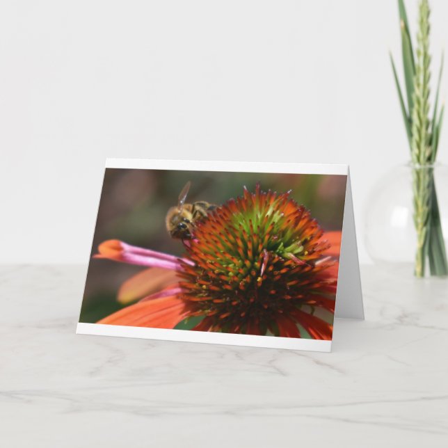 Abeja, tarjeta (Anverso)