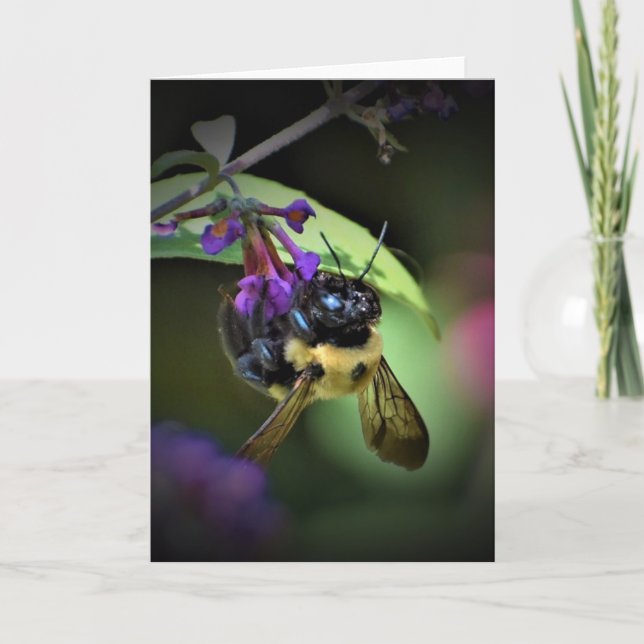 Abeja, tarjeta (Anverso)