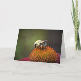 Abeja, tarjeta