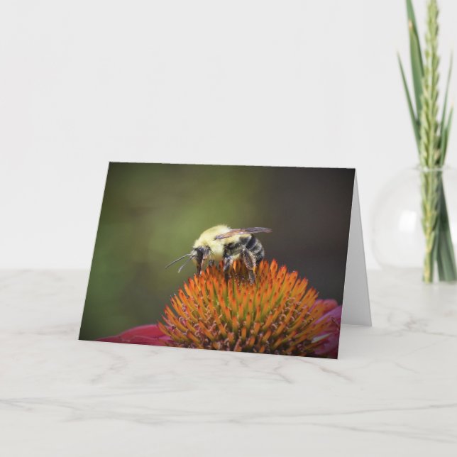 Abeja, tarjeta (Anverso)