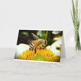 Abeja, tarjeta
