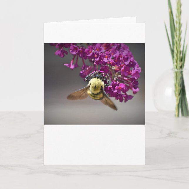 Abeja, tarjeta (Anverso)