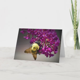 Abeja, tarjeta
