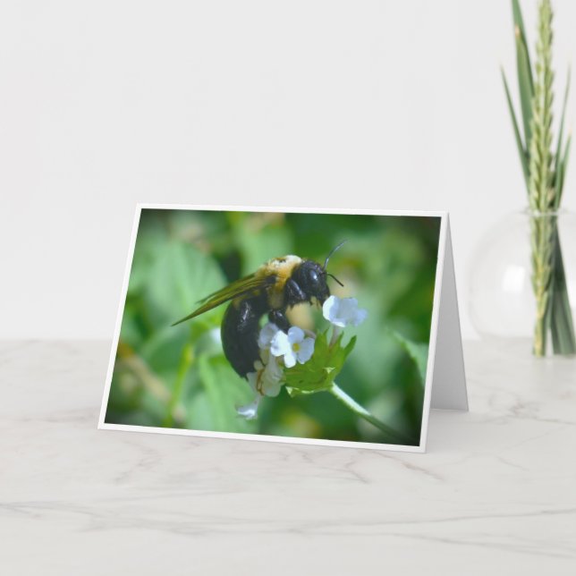 Abeja, tarjeta (Anverso)